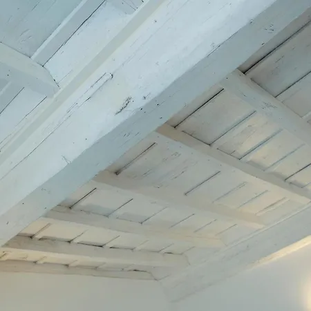 Domus Superior Domizio - Pantheon